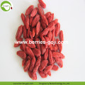 Factory Supply Fruits Healthy Ballas De Goji Berry