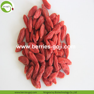 Approvisionnement d&#39;usine fruits sain Ballas De Goji Berry