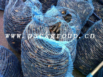 blue oyster mesh bags