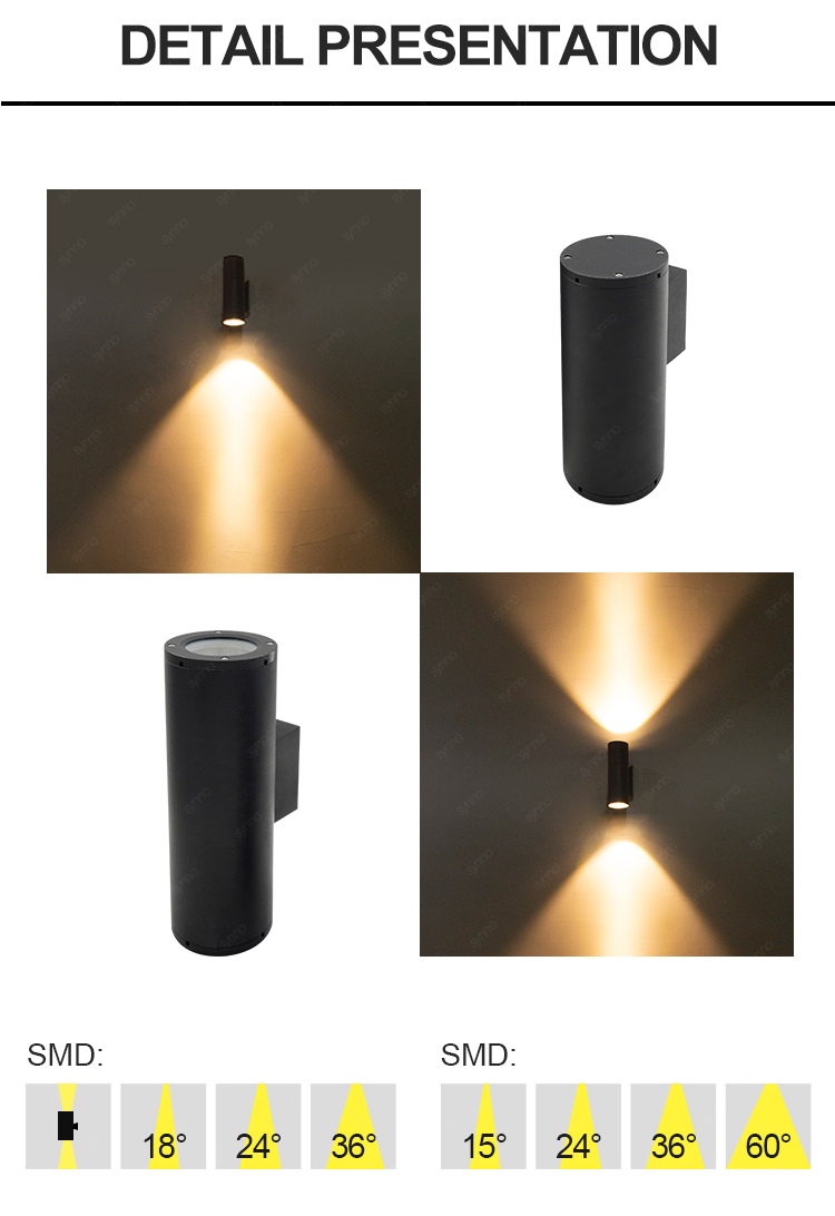 Wall Sconce Light