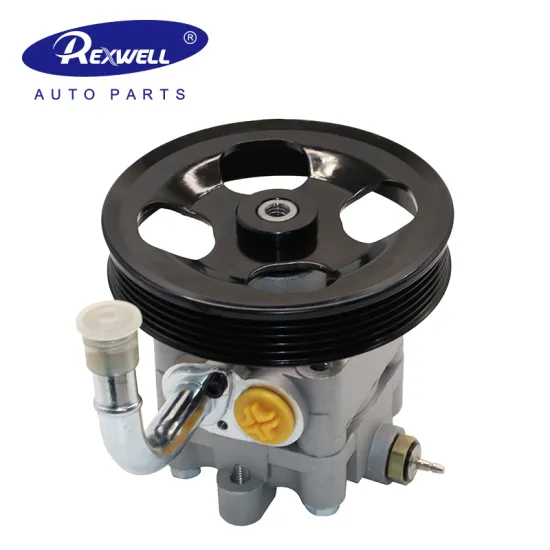 REXWELL Power Steering Pump Assembly for Suzuki Liana Vitara 2.0 AWD 2005-2013
