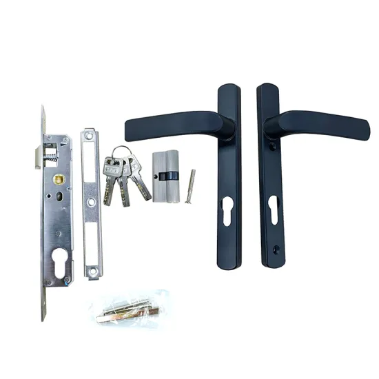 China Euro Standard Union Aluminium Fingerprint Door Lock with 20mm/30mm Backset Handle Cylinder