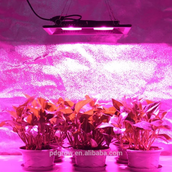 Hot Selling Factory Price Full Spectrum COB LED Grow Lights 200w, Grow Light for Flowering Plant