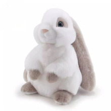 Cute Bunny Plush doll gift