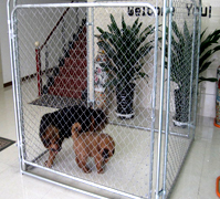 dog kennel wholesale ,PVC coated dog kennels/ dog cages china manufacturer