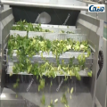 Máquina de pré -consumo de brócolis congelados para linha de processamento de salada