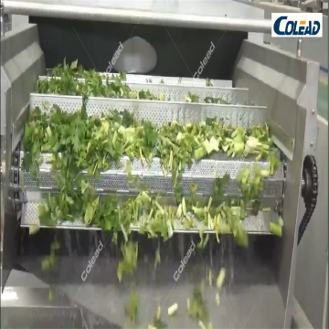 Frozen Broccoli Precooking Machine for salad processing line