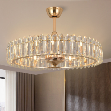 Modern Simple Circular Ceiling Fan Light for Living Room, Dining Room, and Bedrooms