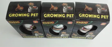 Growing White crack dinosaur eggs