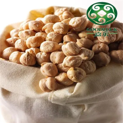 Wholesale China chickpeas of good quality (2013 crop)