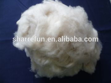 Dehaired Chinese cashmere fibre Ivory 16.5mic 34-36mm
