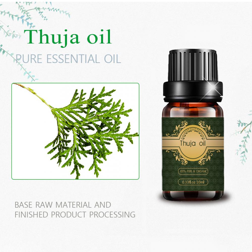 개인 라벨 Pure Thuja 에센셜 오일 스킨 케어