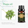 Etiqueta privada Pure Thuja Essential Oil Cuidado de la piel