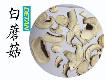 Dry Champignon Mushroom Slicing/white button mushroom
