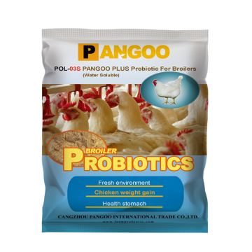 POL 03S Probiotics for Broiler (Water soluble)