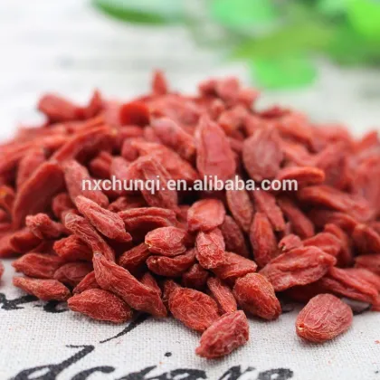 Chinese wolfberry factory/ningxia gojiberry qinghai gojiberry/different grades gojiberry