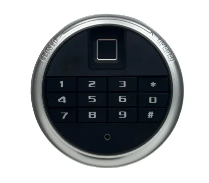 Integrated Biometric Safe Lock System
