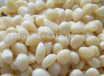 Healthy Garlic in Vinegar
