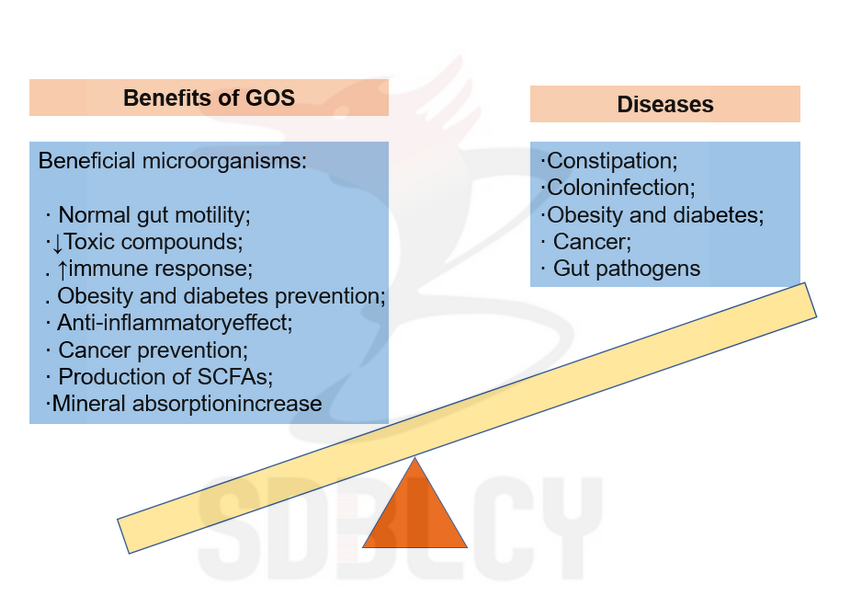 Prebiotic Gos 57 Galacto Oligosaccharide Png