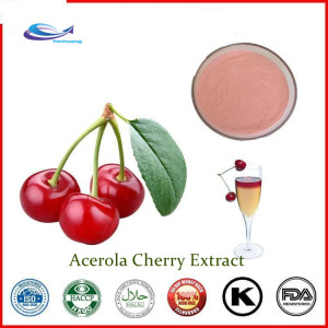 Supply VC 17% 25% Acerola Cherry Extract Powder