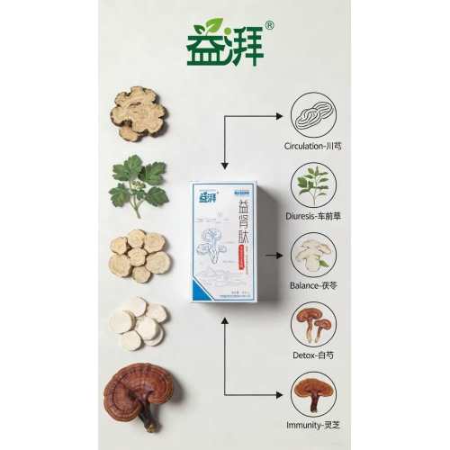 Apoyo nutricional temprano para la ERC para perros y gatos