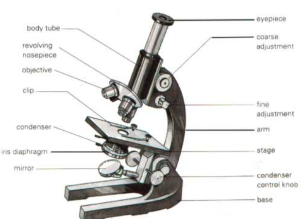Microscope