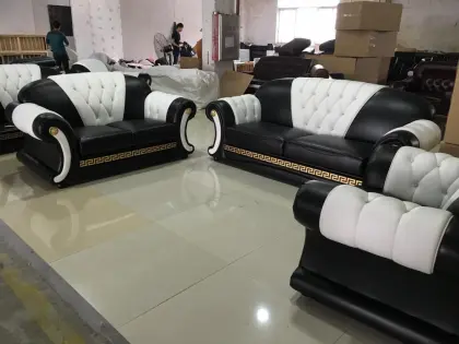 Home Furniture Leather Sofa with Genuine Leather Sofa