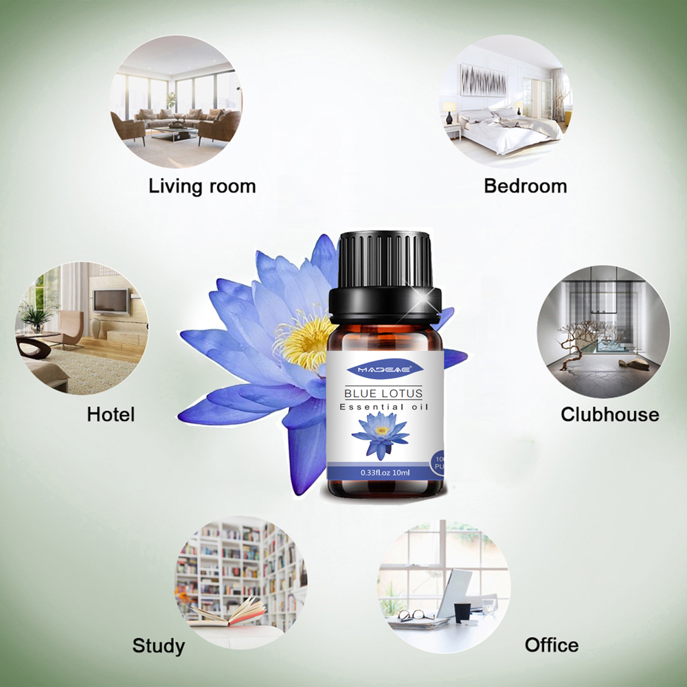 Bulk sale blue lotus essential oil for diffuser