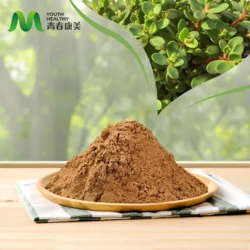 High Quality Bacopa Monnieri Extract