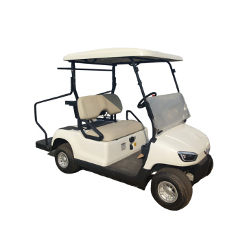 2-seater lead-acid electric car