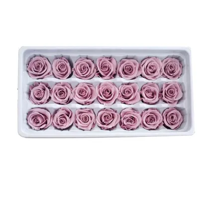 Wholesale Rose Eternelle - Top Seller for Wedding and Home Decoration