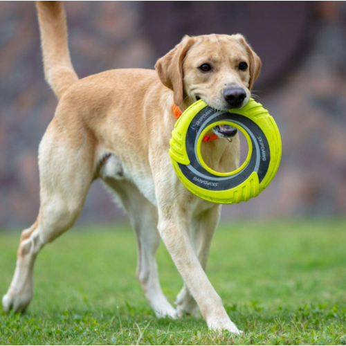 Nylon stof niet-toxisch vliegend schijf hond speelgoed