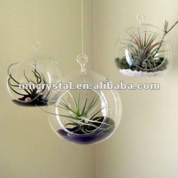 Hanging Bubble TERRARIUM MH-12557