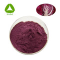 Antioxidante en polvo de extracto de jugo de repollo morado