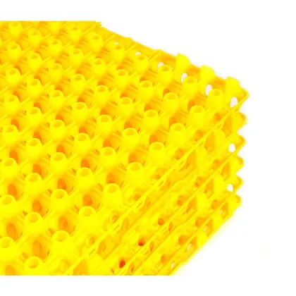 Plastic Quail Eggs Tray Pack for Transportation and Promotion
