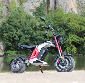 Electric Scooters υψηλής ισχύος: Ευρωπαϊκές/USA Warehouse Updates με Scooters Chopper 2000W, 3000W και 4000W (EC/COC εγκεκριμένο)