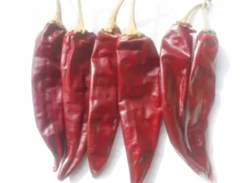 American red chilli