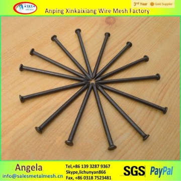nail supplies XKX 15cm black iron nail /polish common wire nails manufactured in China