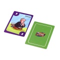 Custom Baseball Game Card Printing