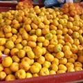 bebé fresco mandarina naranja fábrica directa de exportación