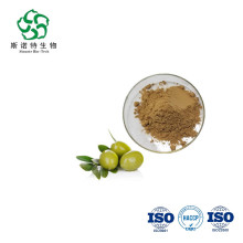 Olea Europaea Organic Olive Leaf Extract