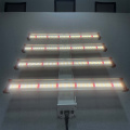 Luces de cultivo LED de conductor CE para plantas de interior