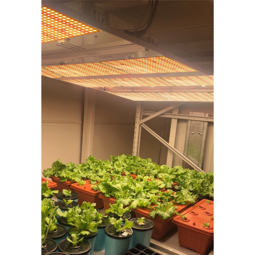 Best Quantum Board 120w Grow Light Panel