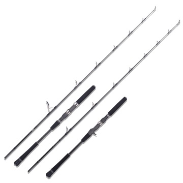 High Quality 1.80m Power Carbon Spinning Bait Casting Fishing Rod with Fuji Guide and Saltwater Jigging Reel Seat