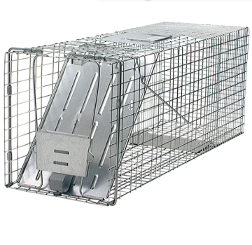 Cage Traps for Medium-Sized Animals: Armadillos, Cats, Groundhogs, and More