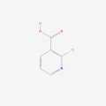 Ácido 2-cloronicínico CAS 2942-59-8