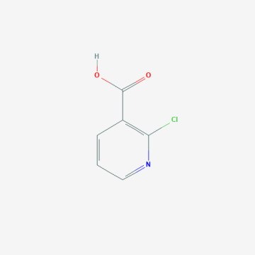 2-chloronicotinic acid CAS 2942-59-8