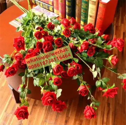 Good Price Rose Thorn Removal Machine