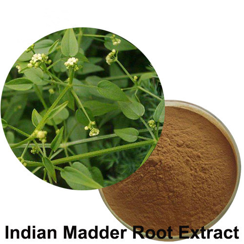 Plant Extract Madder Extract