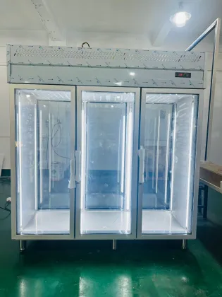 Double sided glass door refrigerator